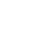 Avolon Logo