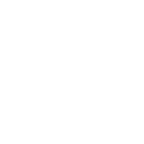 Safe Software Logo White
